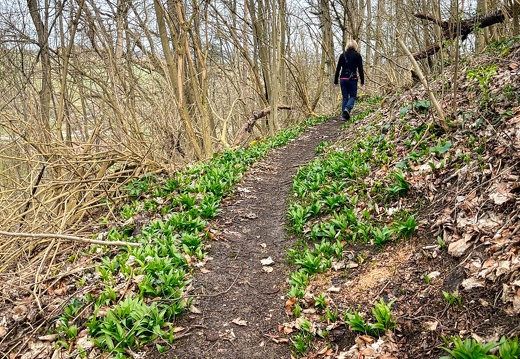 23-03-17 11-27-54 4889